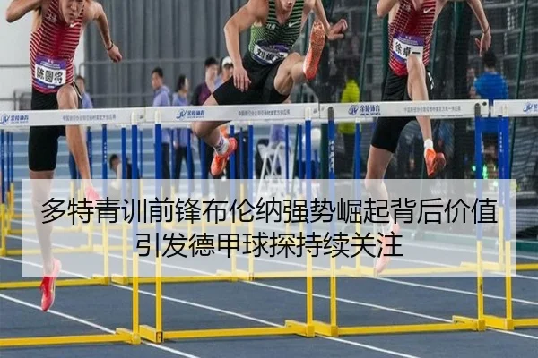 duo-te-qing-xun-qian-feng-bu-lun-na-qiang-shi-jue-qi-bei-hou-jia-zhi-yin-fa-de-jia-qiu-tan-chi-xu-guan-zhu-2-384.jpg