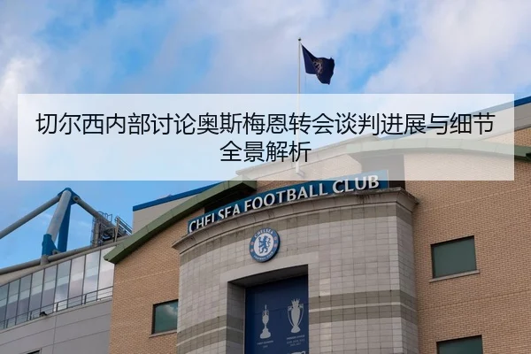 切尔西内部讨论奥斯梅恩转会谈判进展与细节全景解析