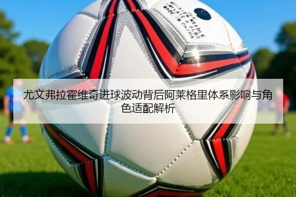 尤文弗拉霍维奇进球波动背后阿莱格里体系影响与角色适配解析